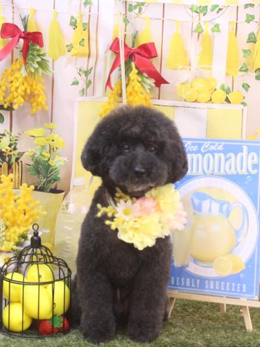 20240413ラブくん